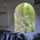 Foto 1 überprüfen
