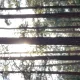 Review photo 1