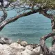 Foto 4 überprüfen
