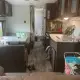 Review photo 3
