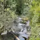 Foto 1 überprüfen