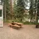 Foto 1 überprüfen
