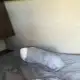Foto 1 überprüfen