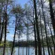 Foto 2 überprüfen