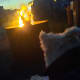 Review photo 1