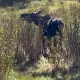 Commenter la photo 27