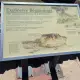 Review photo 15