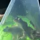Foto de la valoración 1