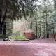 Review photo 3