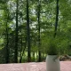 Review photo 2