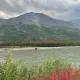 Foto 8 überprüfen