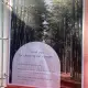 Review photo 4