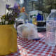 Foto 1 überprüfen