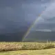 Foto de la valoración 3