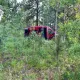 Foto 1 überprüfen