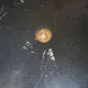 Foto de la valoración 4