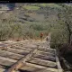 Foto de la valoración 1