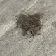 Foto 6 überprüfen