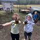 Foto 2 überprüfen