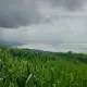 Foto 3 überprüfen