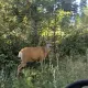 Foto 1 überprüfen