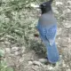 Foto 3 überprüfen