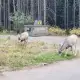 Foto 2 überprüfen