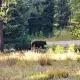 Foto 1 überprüfen