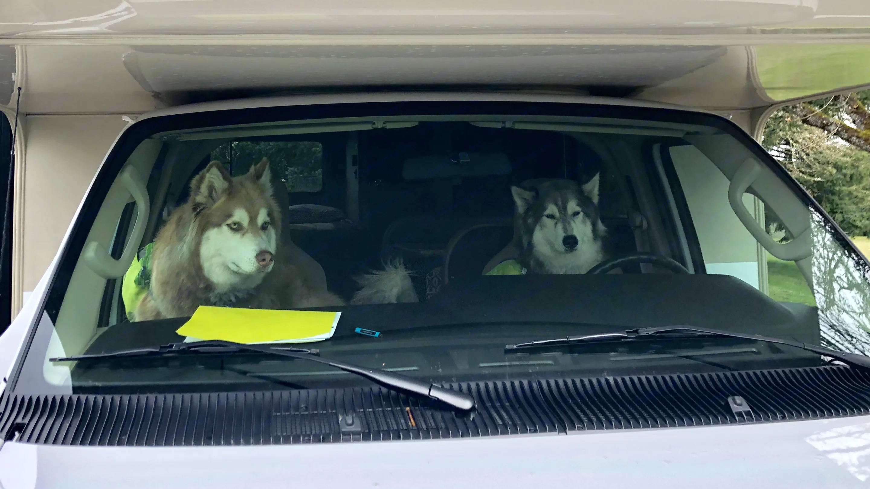 All drivers must have a valid drivers license and insurance.
Pet friendly . Thor Motor Coach Freedom Elite 2018