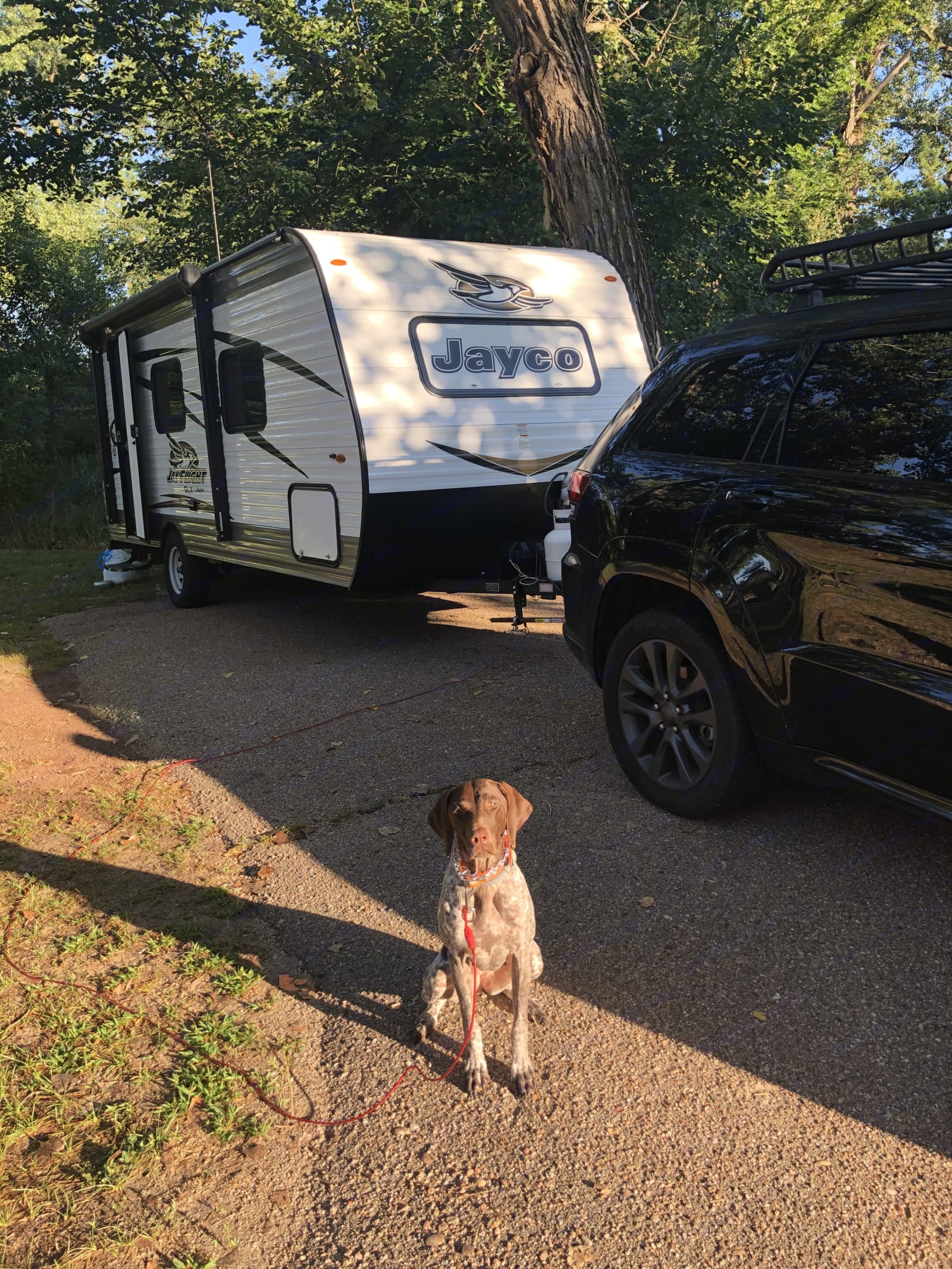 Winnie is ready for a road trip! Are you?. Jayco Jay Flight 2018