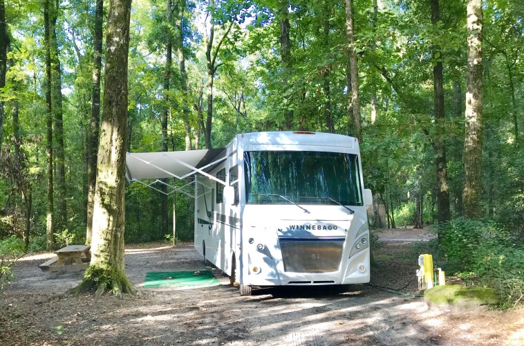 well-designed, pet-friendly travel trailer