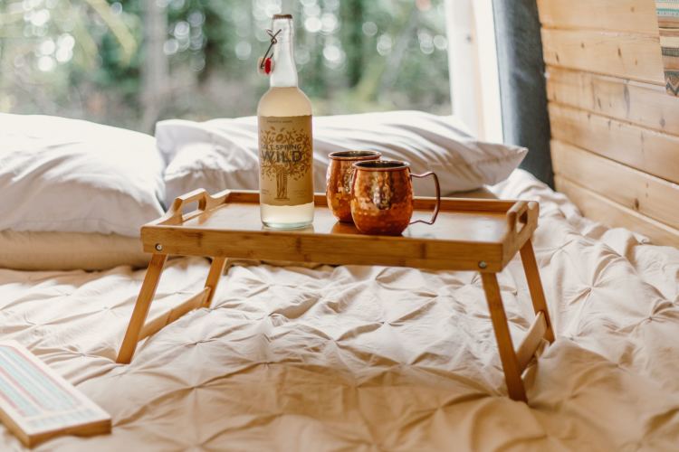 10 Best PetFriendly RV Rentals In Victoria, Canada Trip101