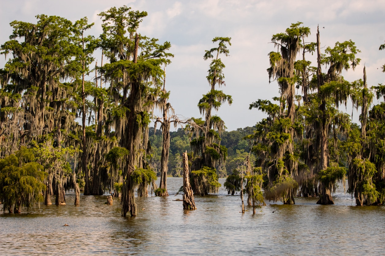 RV Parks & Campgrounds near Lake Charles, LA