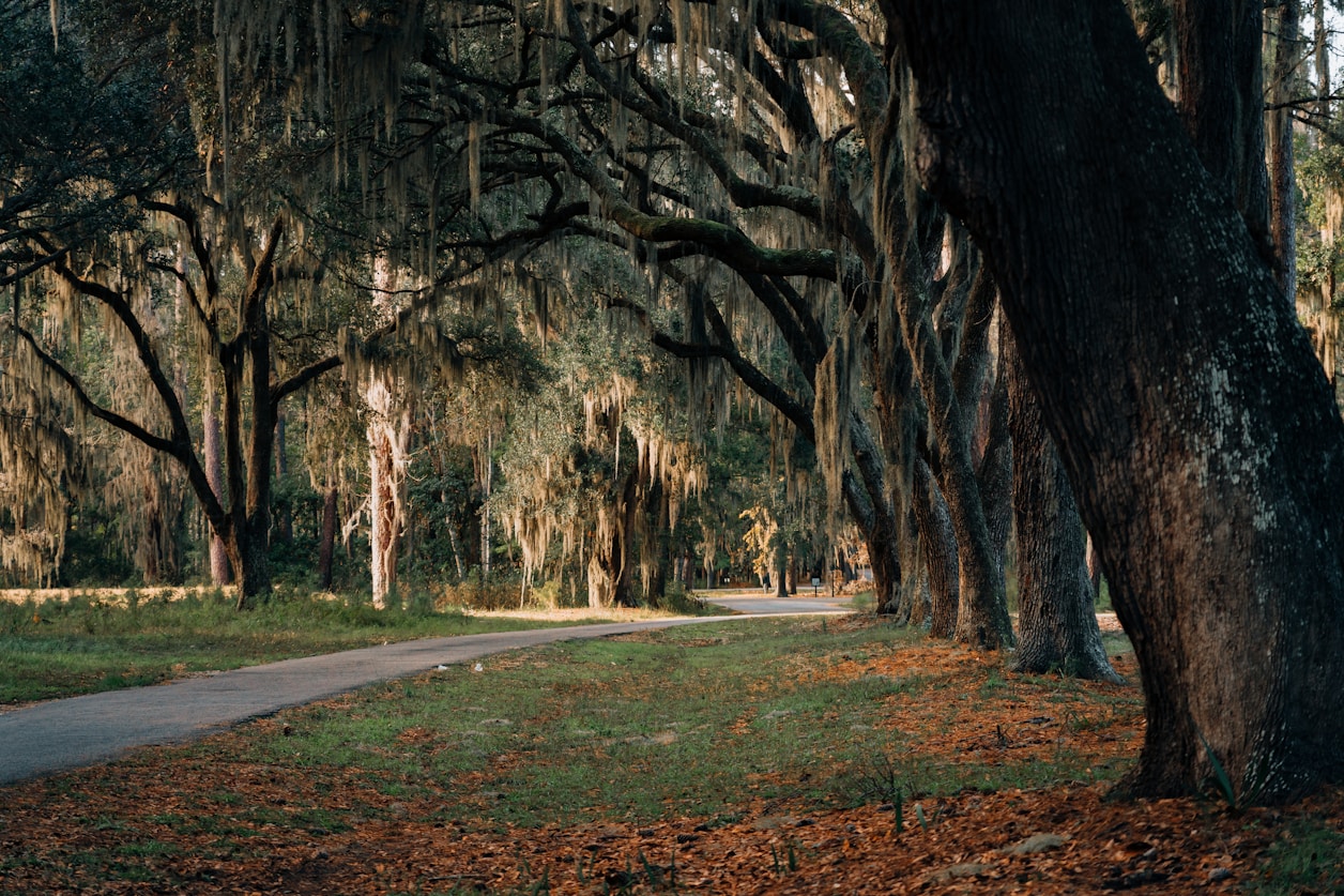 RV Parks & Campgrounds near Fountain Inn, SC