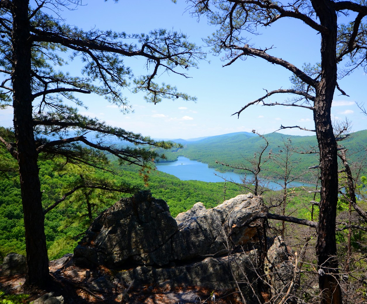 RV Parks & Campgrounds near Leesburg, VA