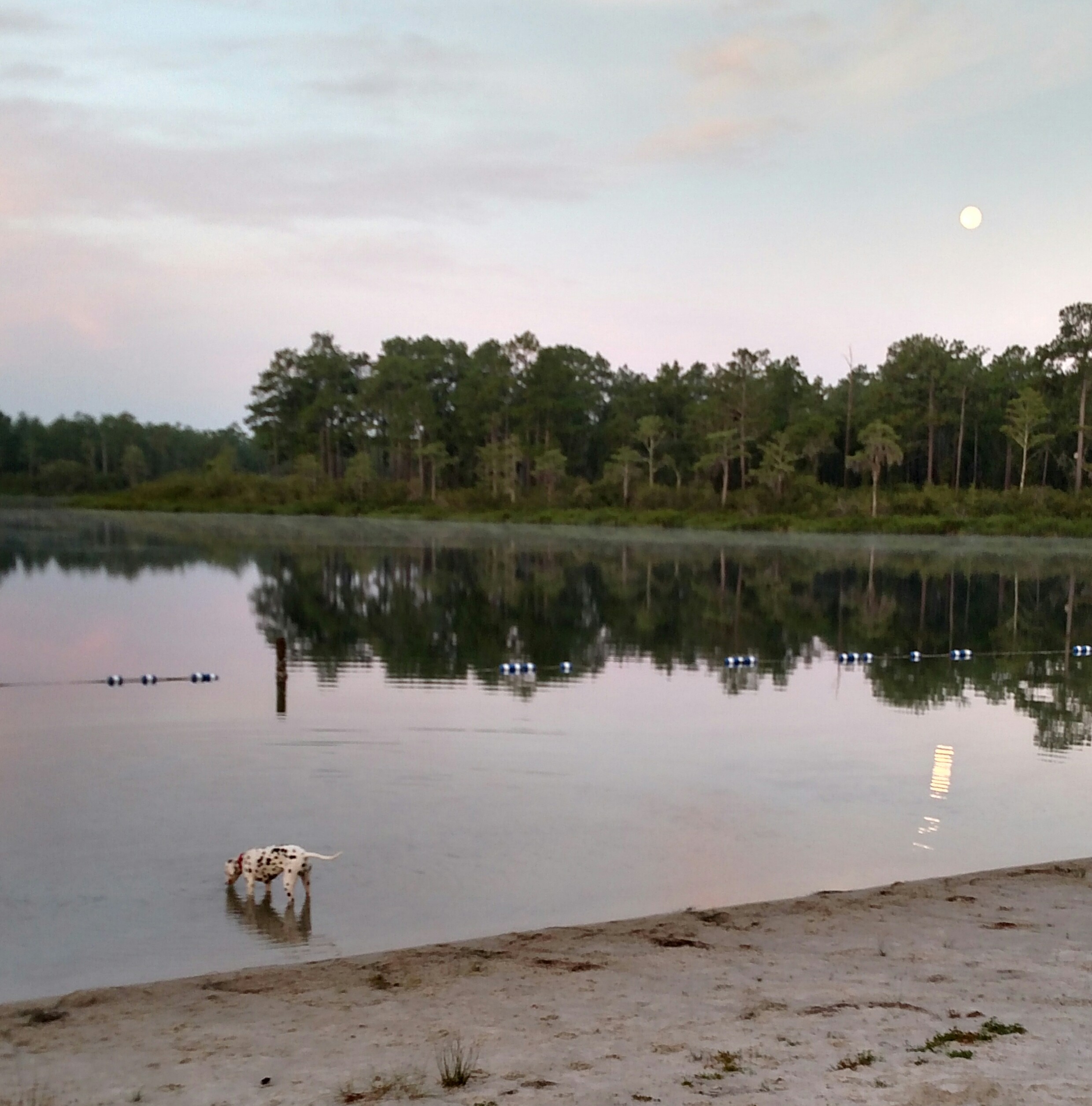 2017 Keystone Bullet Trailer Rental in Ruskin, FL Outdoorsy