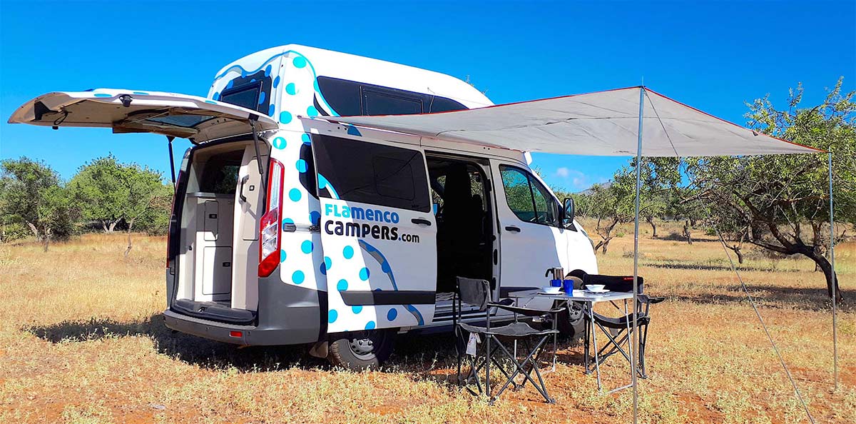 ford nugget westfalia 2019