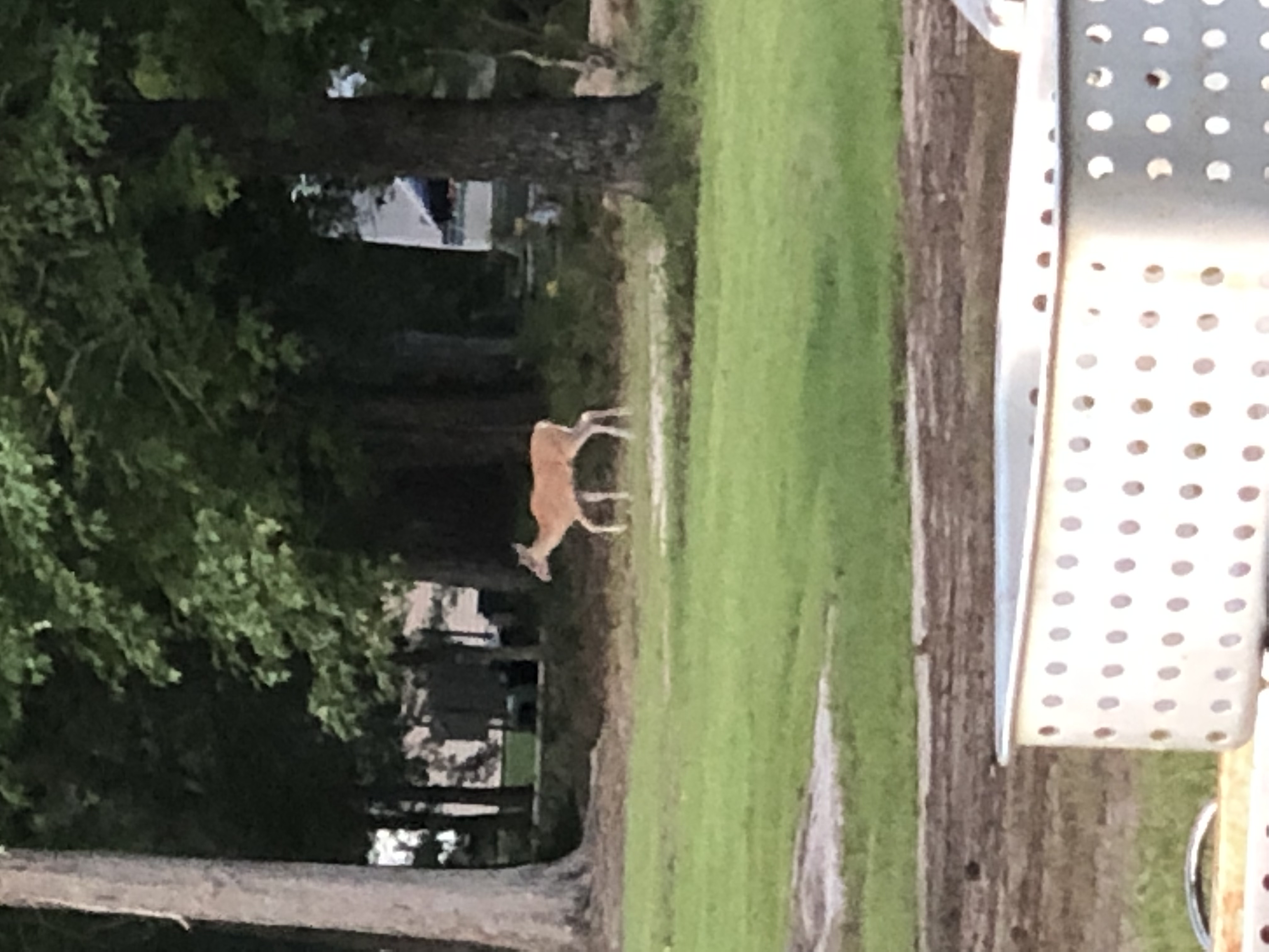 2015 Coachmen Clipper Trailer Rental in Mandeville, LA Outdoorsy