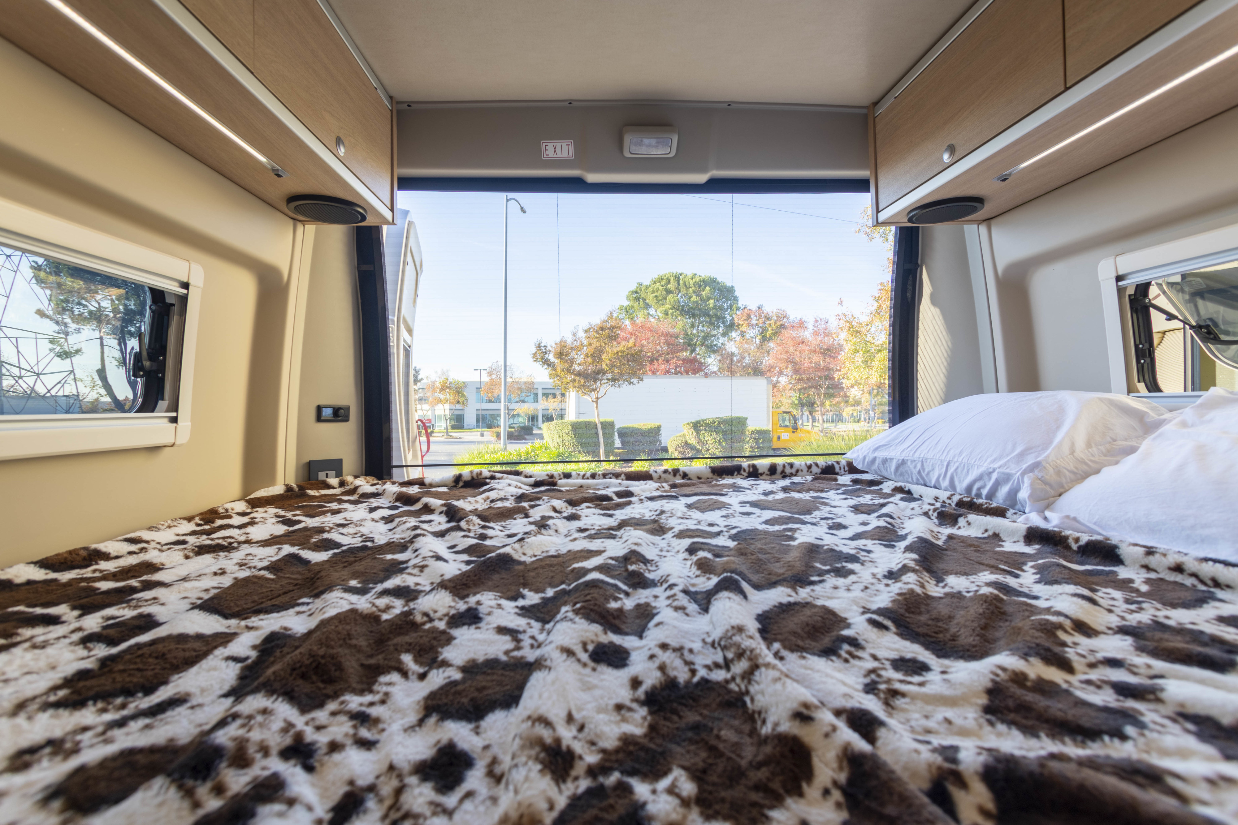 RV rental bed with cow-print blanket, offering a wide rear view of sunny autumn trees and distant buildings.. Hymer Other 2019
