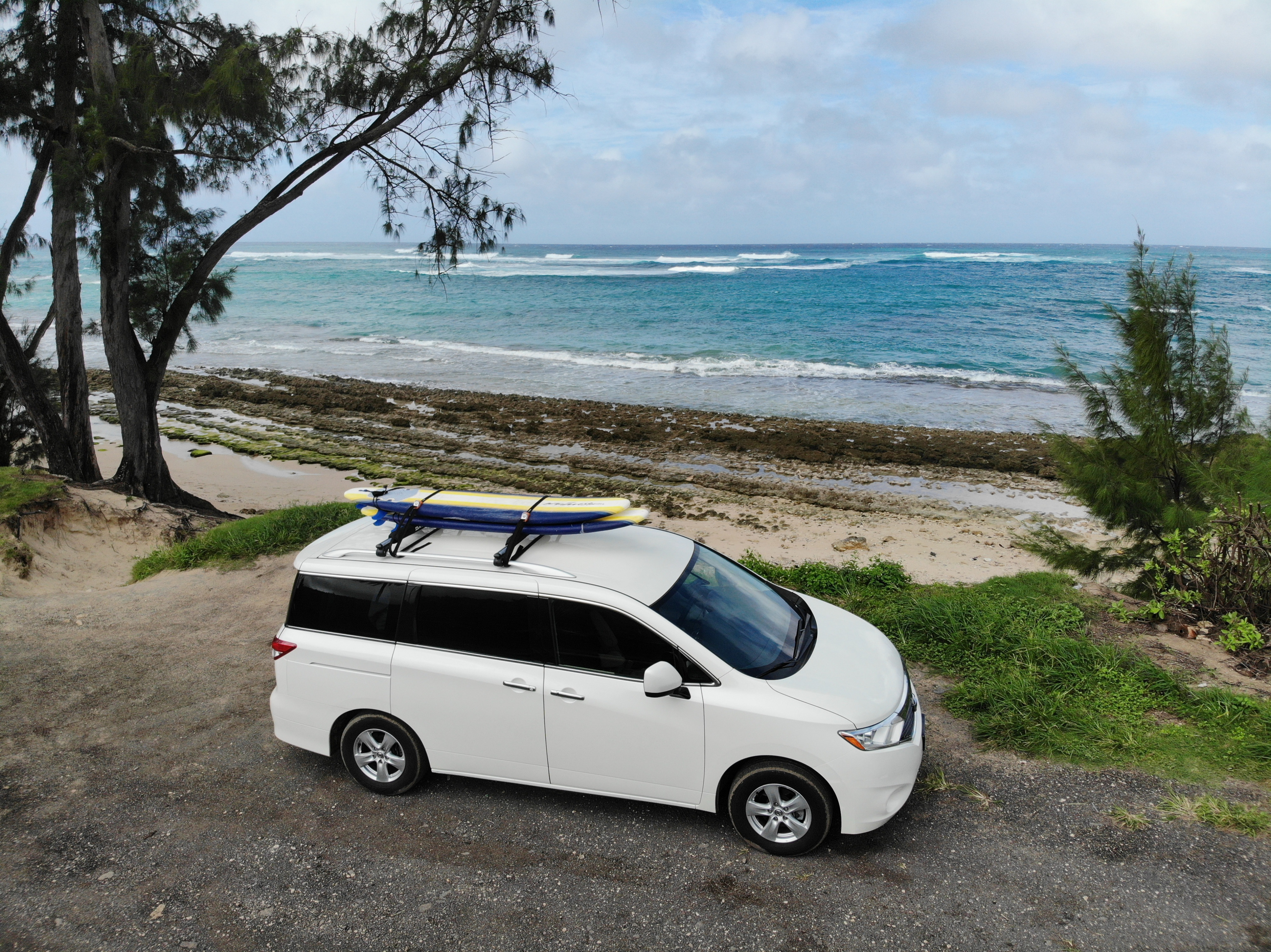 wedding vans trainers