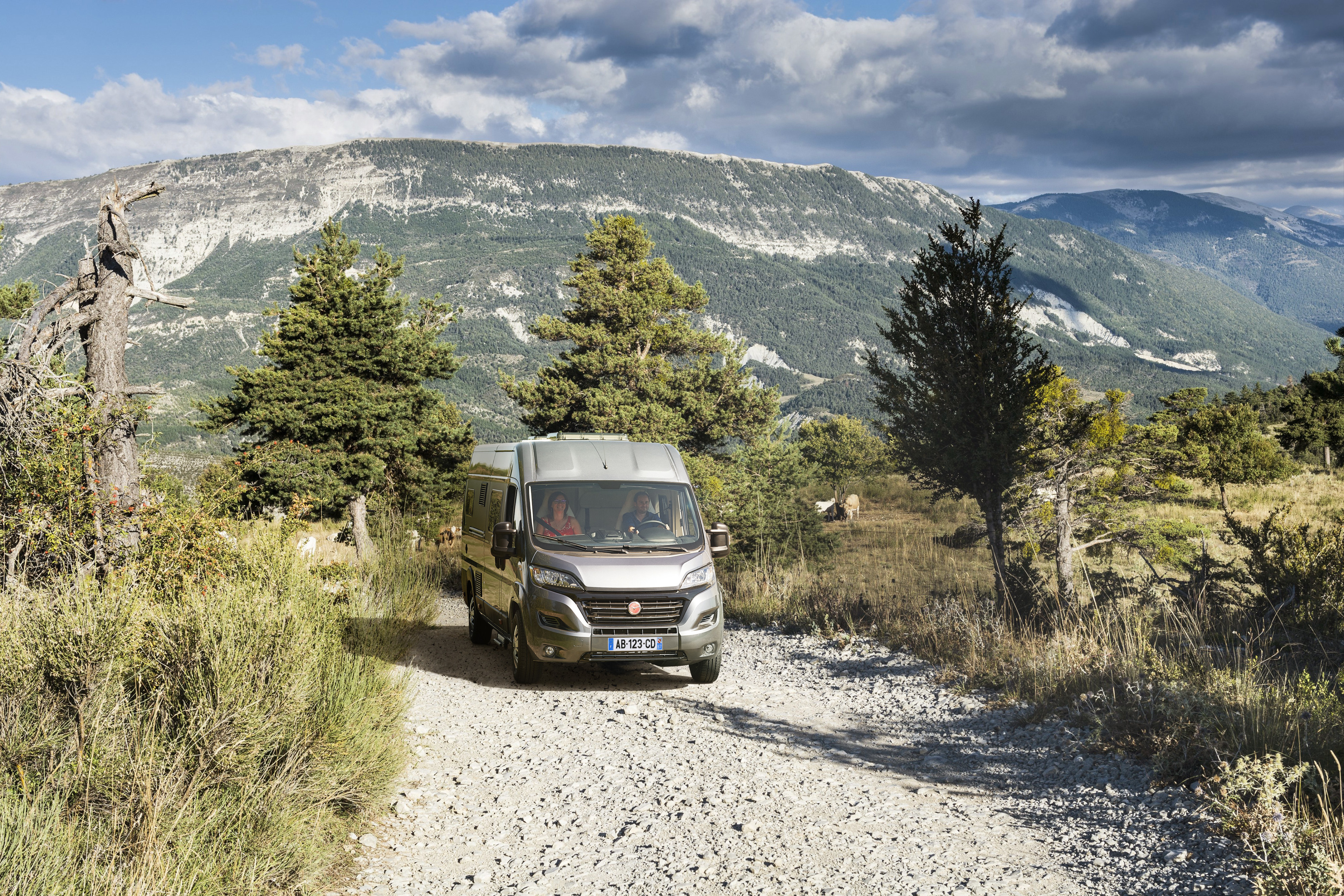 VAN AVENTURE 4 PL