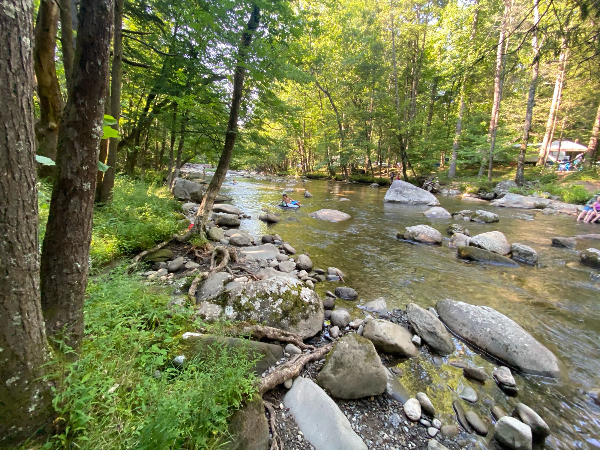 2016 Palomino Base Camp Folding Trailer Rental in Morrisville, NC