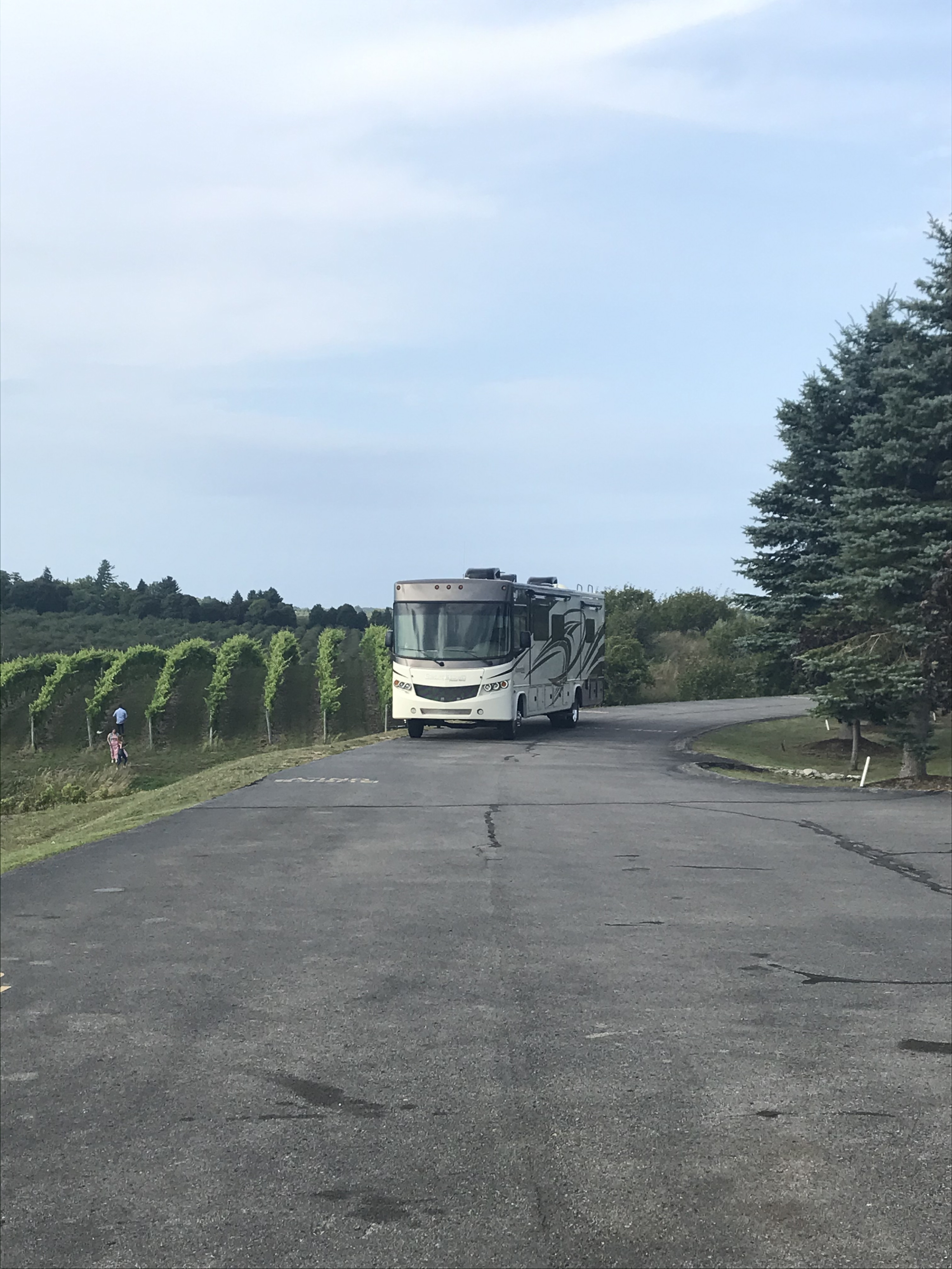 2016 Forest River Class A Rental in Gladwin, MI Outdoorsy