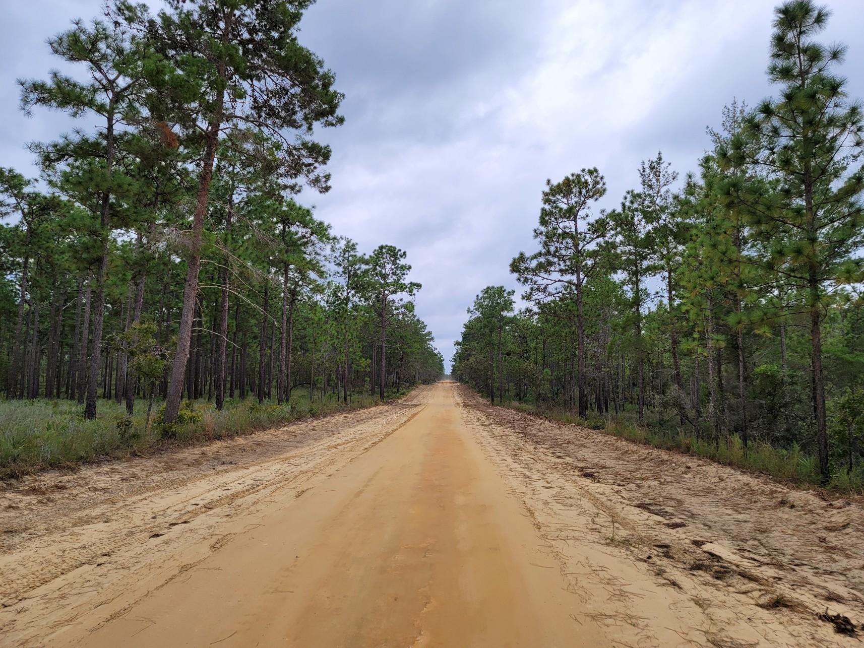 2019 Forest River Grey Wolf Trailer Rental in Brooksville, FL Outdoorsy