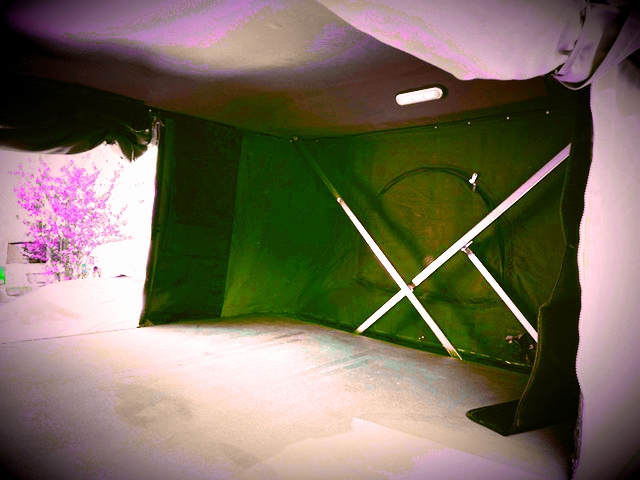 RV rental interior: Dark green fabric walls with white X-supports, ceiling light, and a view of a vibrant pink tree outside.. Dodge Grand Caravan 2014