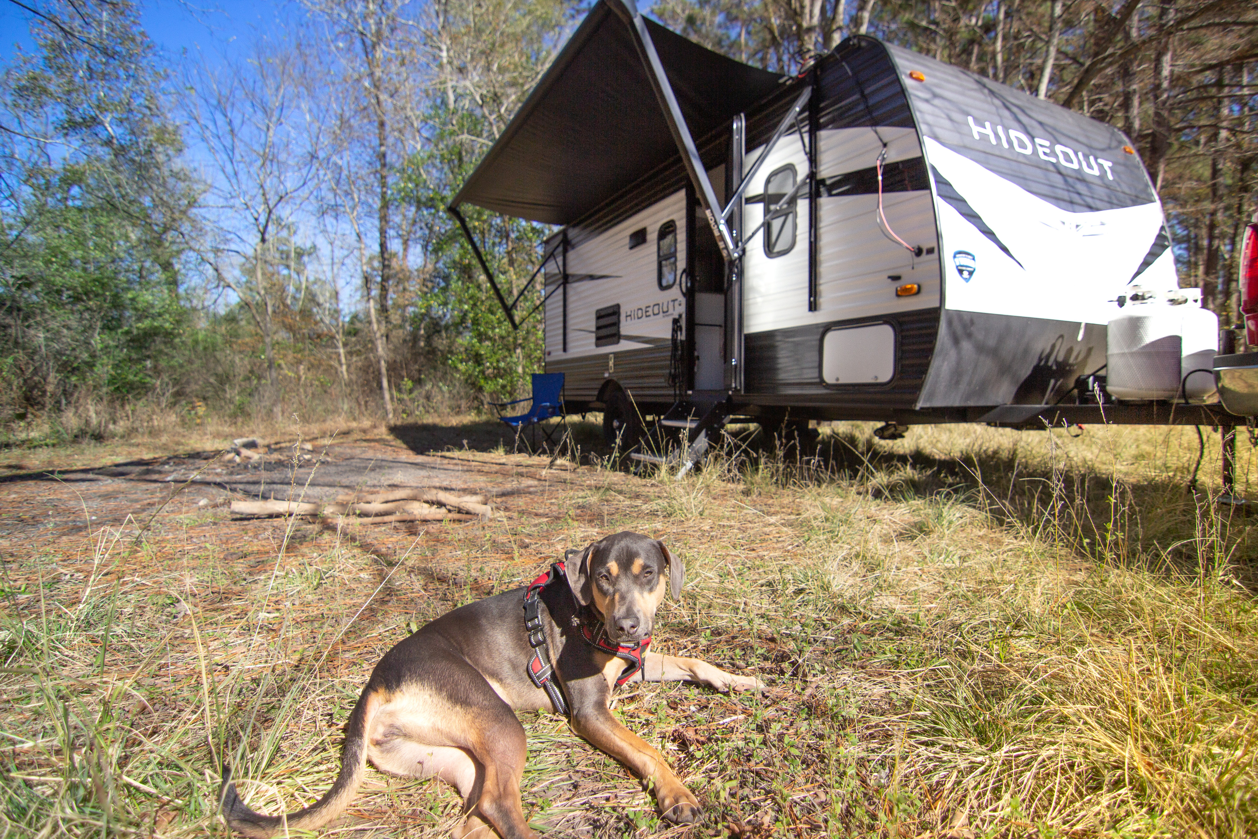 Travel trailer RV Rental 
