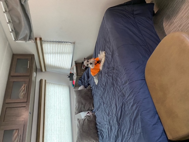Many of our renters love dogs, like we do. Here is one that rented it :). Forest River Other 2019