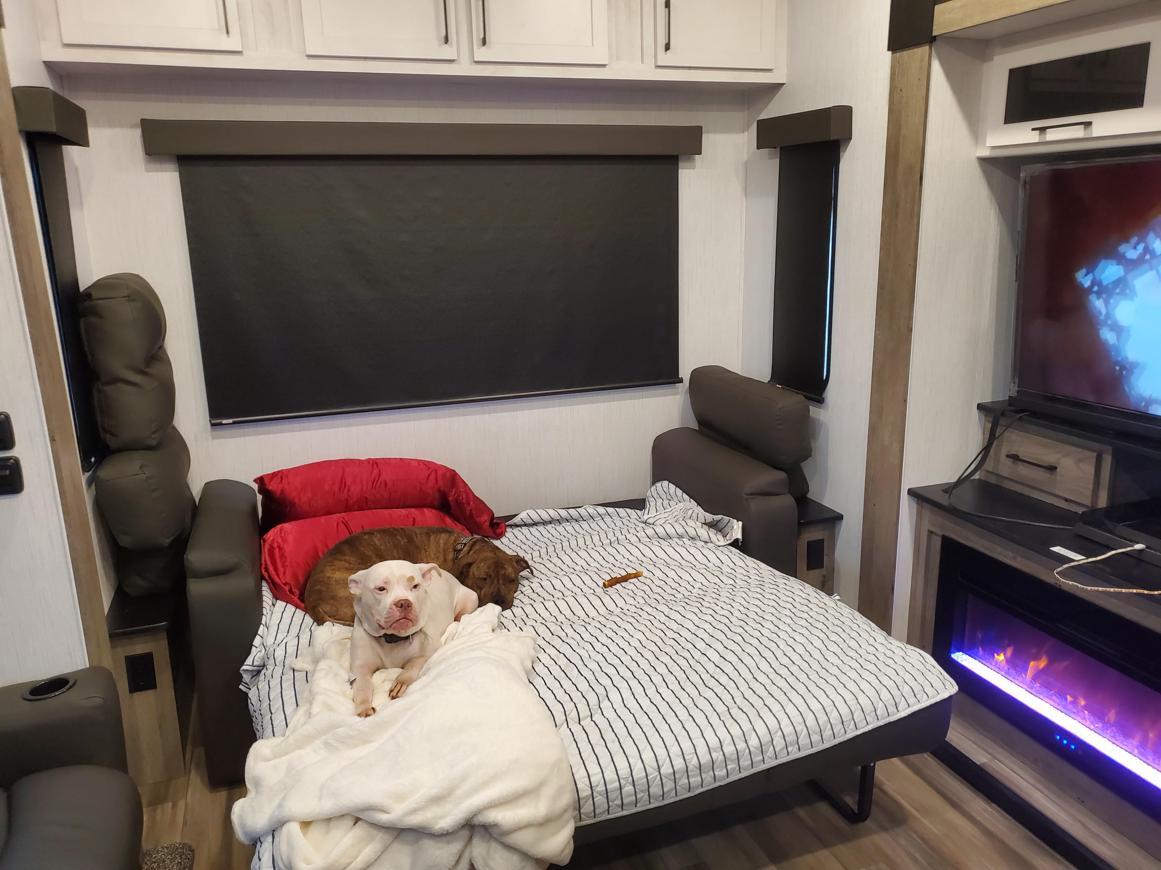 Two dogs relax on a bed in a modern RV rental, featuring dark blinds, a TV, and an electric fireplace.. Heartland Milestone 77mb 2021