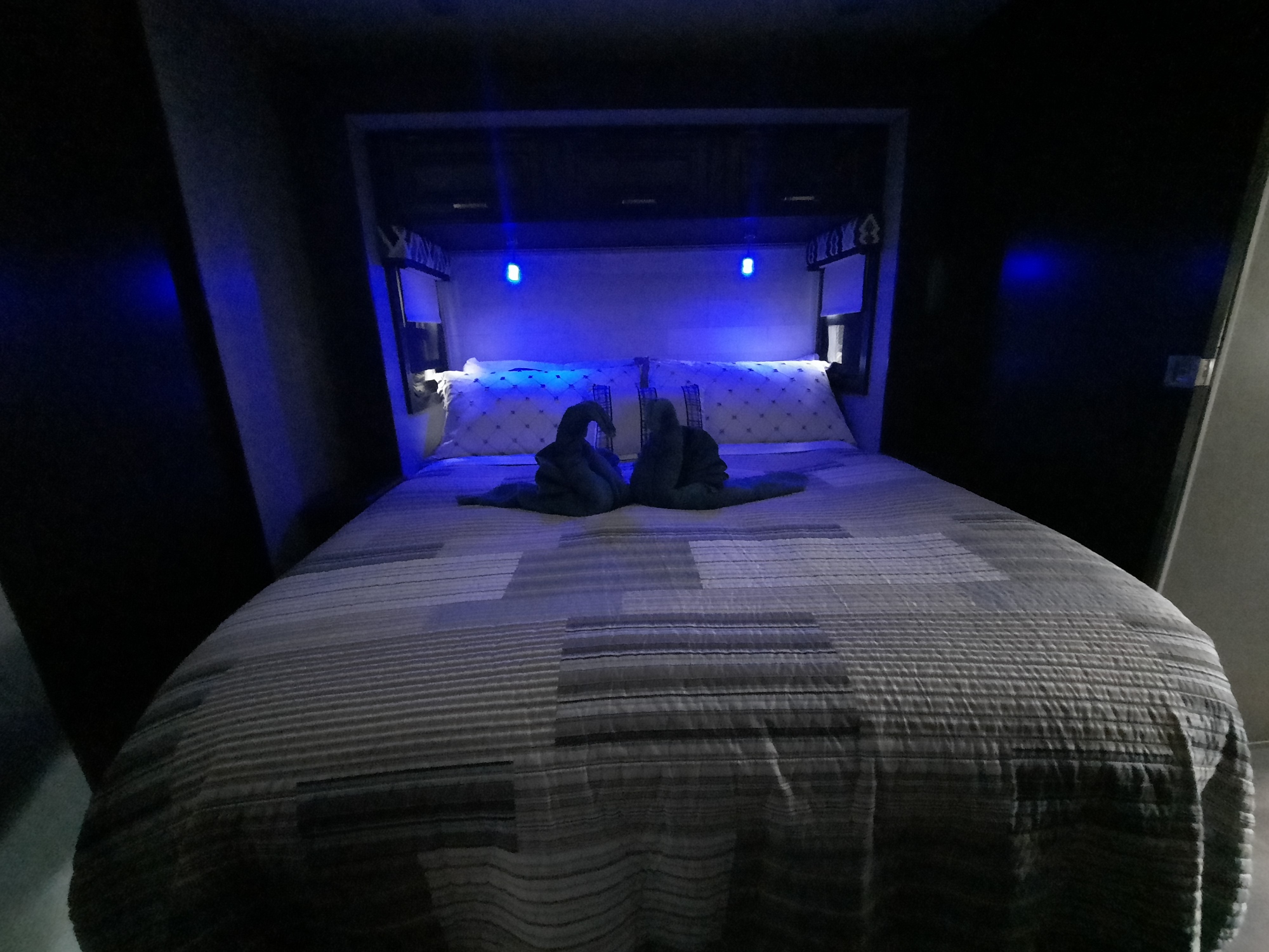 Entegra Coach Other 2021