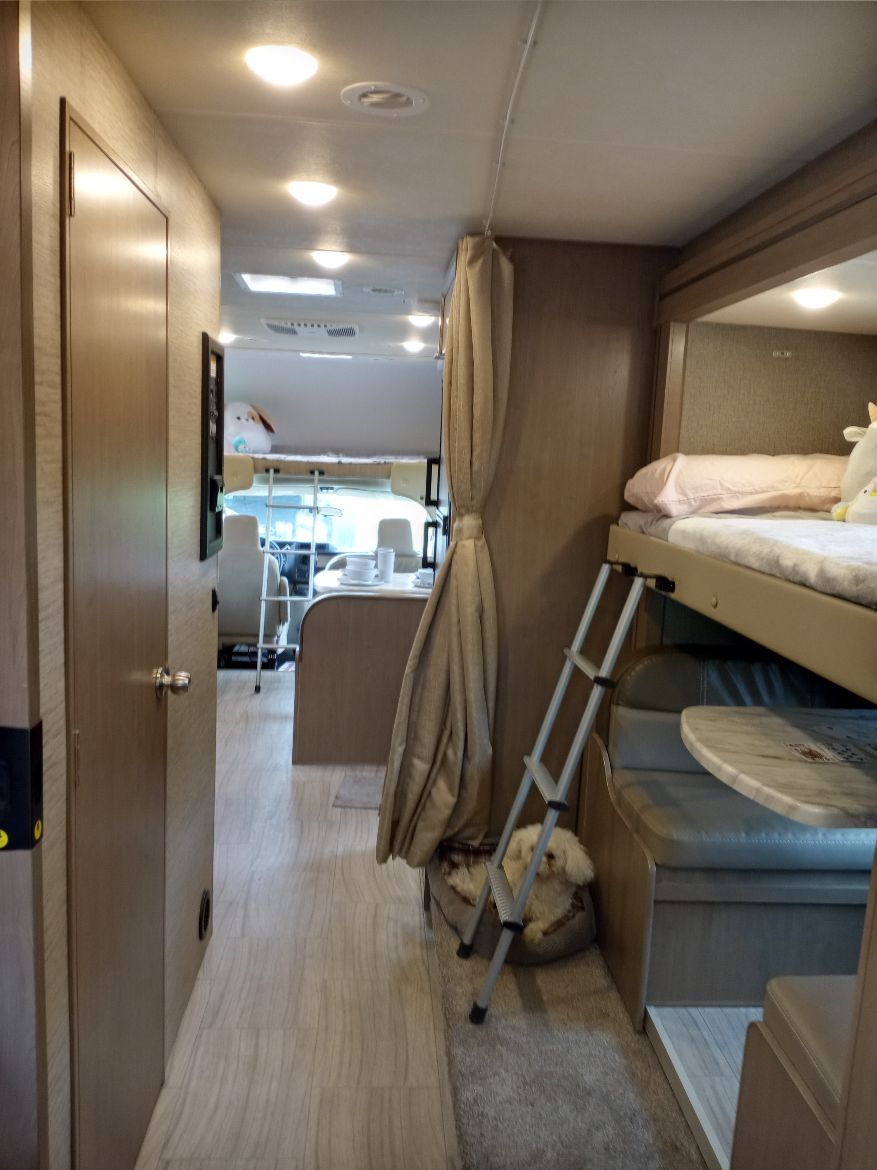 Interior of an rv rental: hallway leading to bunk beds with a ladder, a dog in a bed, and a dining area visible.. Coleman Thor 2021